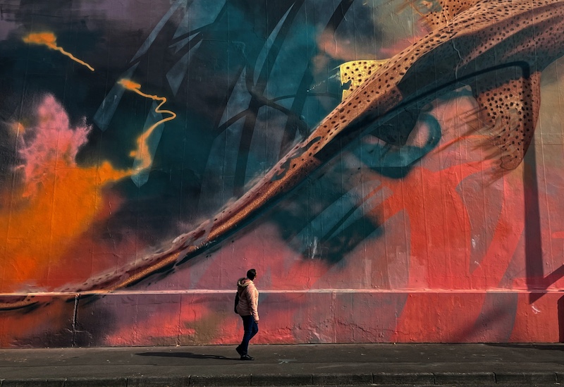 Port Elizabeth Camera Club - Belita  von Steiger - A fishy tail