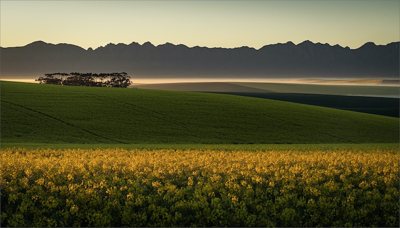 Southern Suburbs Camera Club - Kevin Fowler - Layers