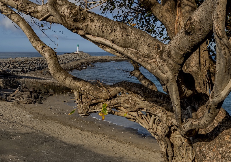 Annemarie Robertson - Port Elizabeth Camera Club - Saint Giles Lighthouse