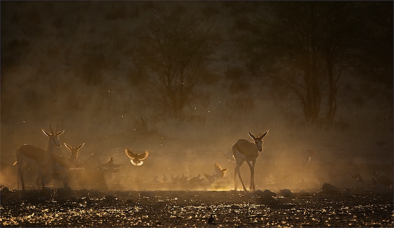 Geo Jooste - Bloemfontein Kameraklub - late afternoon at Rooiputs
