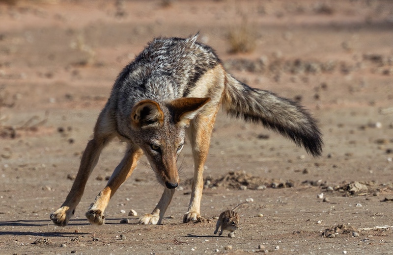 Michele-Ann Nel - Creative Camera Club - Taking Aim