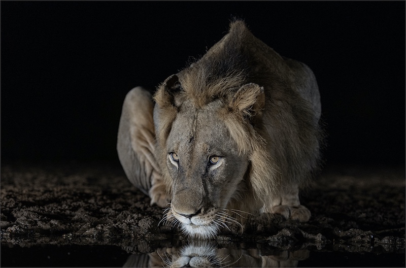 Rodney Cory - Springs Photographic Club - All Alone at the Water Hole A
