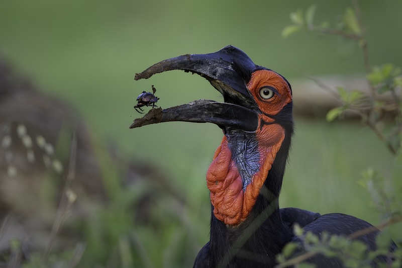 Brandpuntfotoklub - Wynand Scholtz - Kraakvars