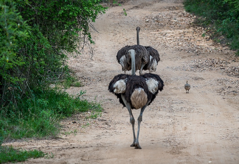 Centurion Camera Club - Jeanet Theron - On the road again