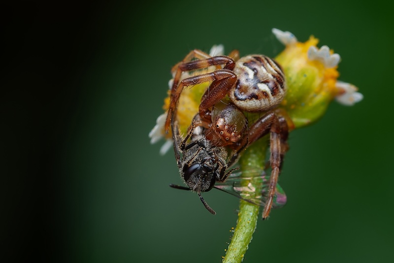 Ermelo Fotoklub - Kyla Eksteen - Lunch