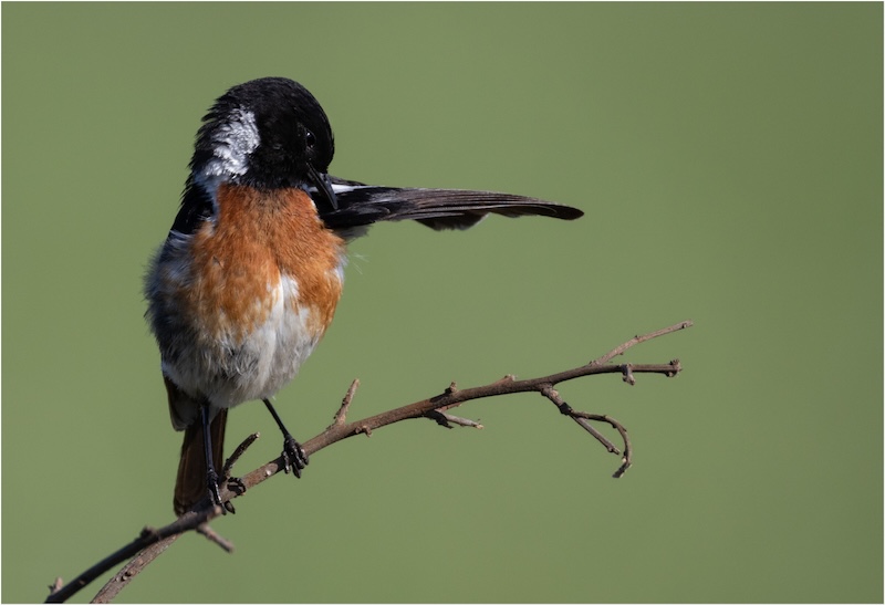 Magalies Foto Fun Club - Rika Dry - Please go that way