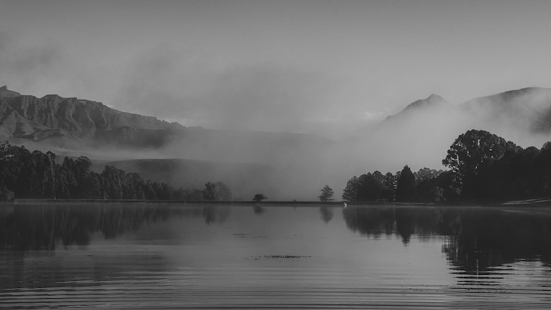 Princes Grant Camera Club - Cindy-Lee Brown - In the mist