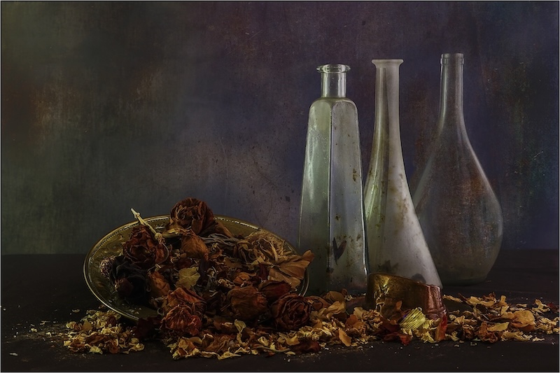 Randburg Foto Klub-Randburg Photo Club - Jan van Heerden - Dried Flowers