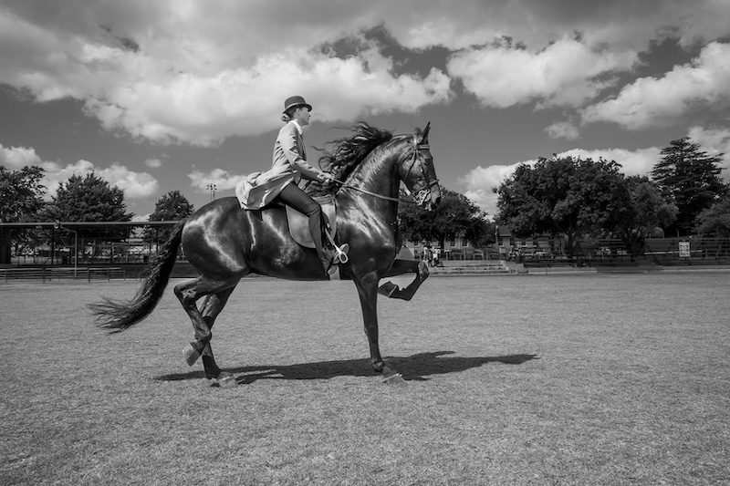 Schools - Charlie Hofmeyr HS - Stella Hanekom - Command