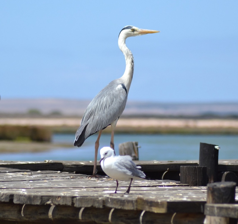 Schools - Piketberg HS Fotoklub - Tammy Boys - Just the 2 of us