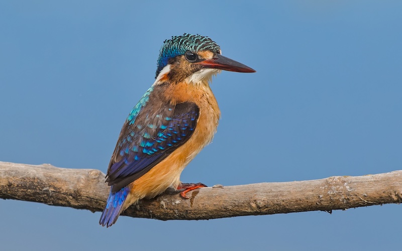 Tygerberg Photographic Society - Brian Moffatt - Preparation