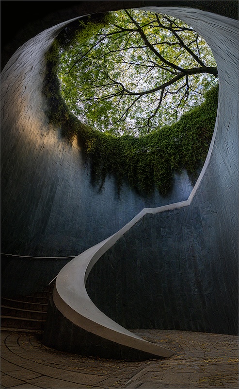 AFO - Rina Hattingh - Spiraling nature