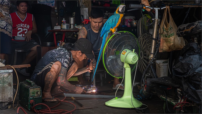 AFO - Tania Cholwich - Backstreets of Bangkok