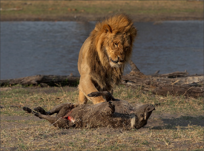 Bethal Fotografie Klub - Johan Drotsky - Vat so vark