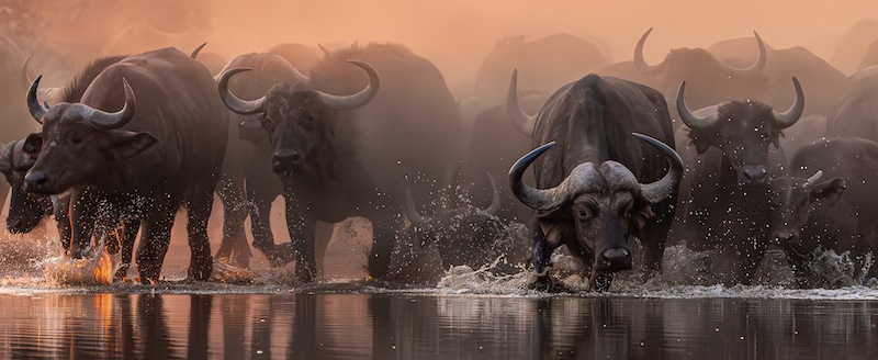 Hermanus Photographic Society - Judes Armstrong - Water Dust and Dawn