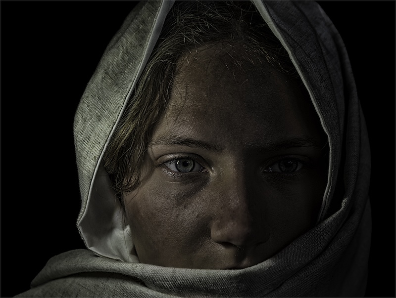 Hibiscus Coast Photographic Society - Tim Gould - Hard life