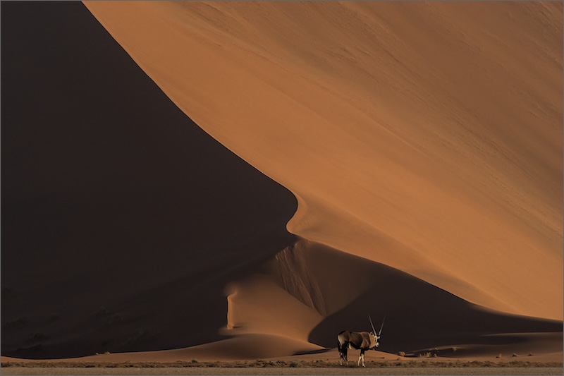 Highway Camera Club - Kazalette Pike - Dune Oryx