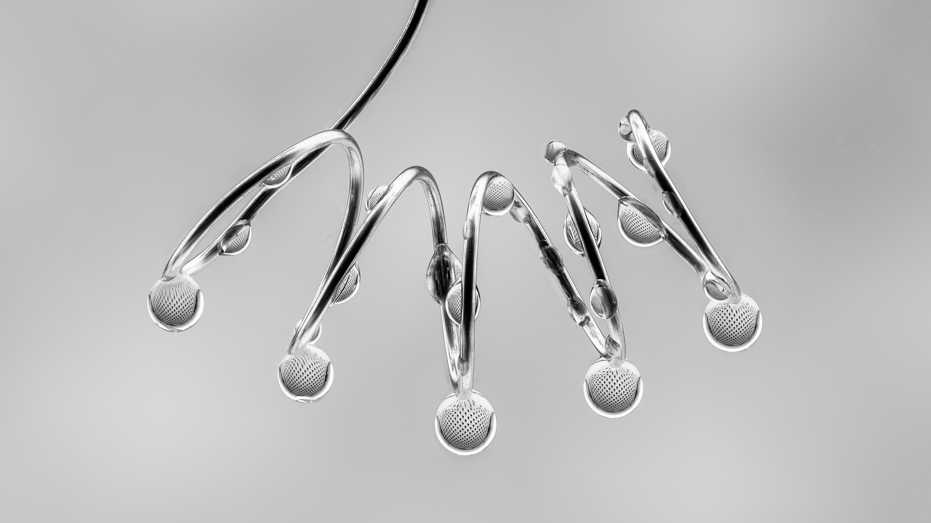 Arnold Bester - F-Stop Fotografiese Vereniging - Spring Droplets