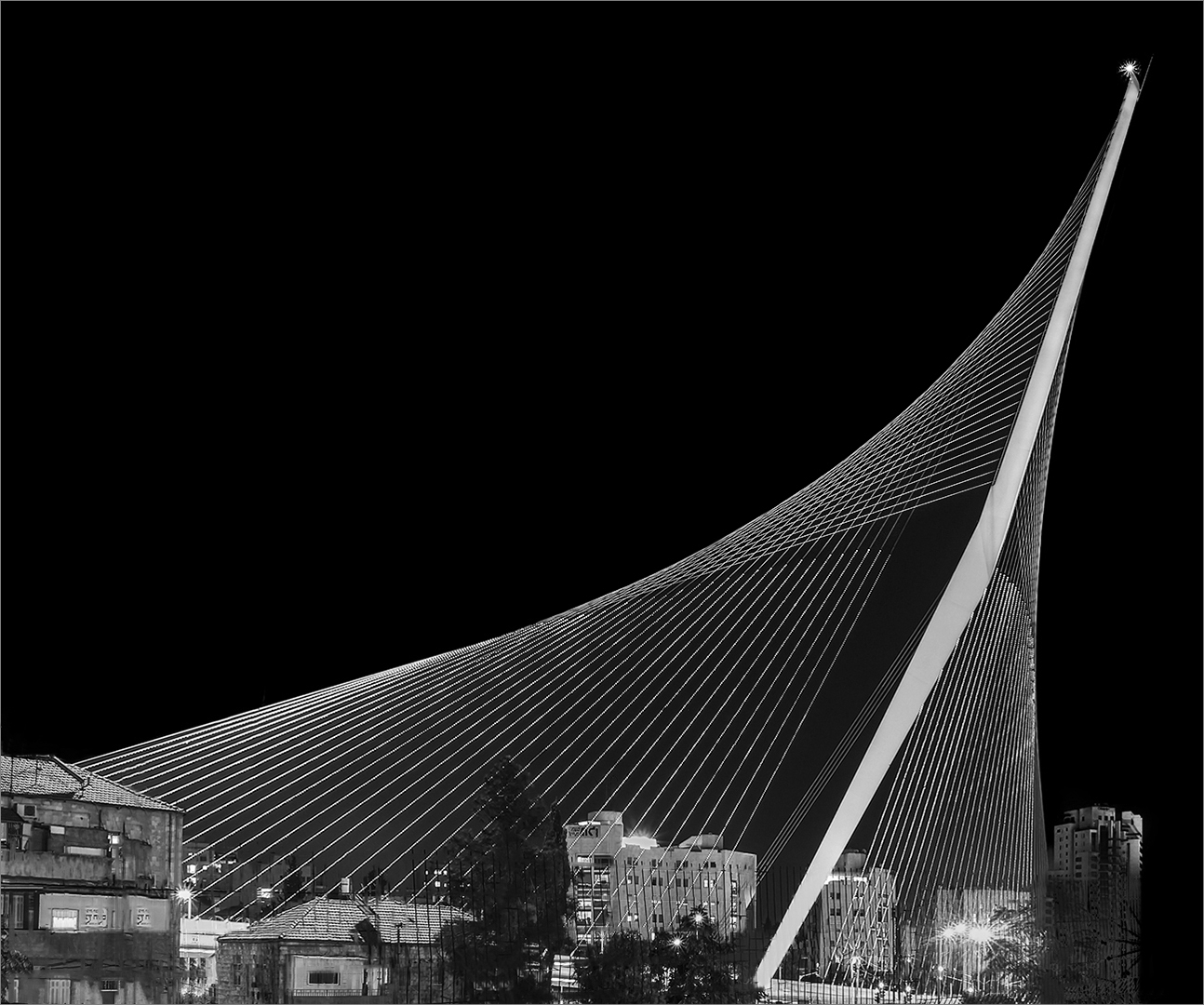 DNE Smit - Sasol Highveld Photography Club - Davids harp