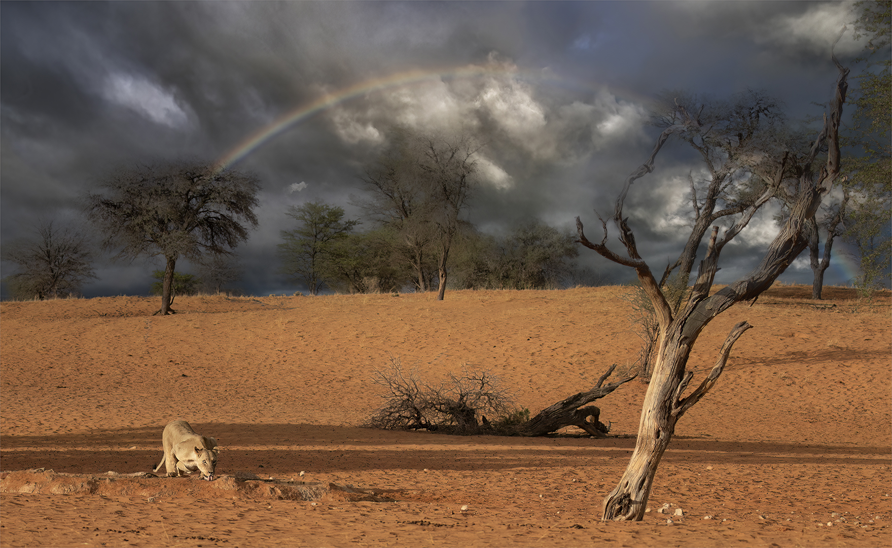 Geo Jooste - Bloemfontein Kameraklub - thunder at Loffies