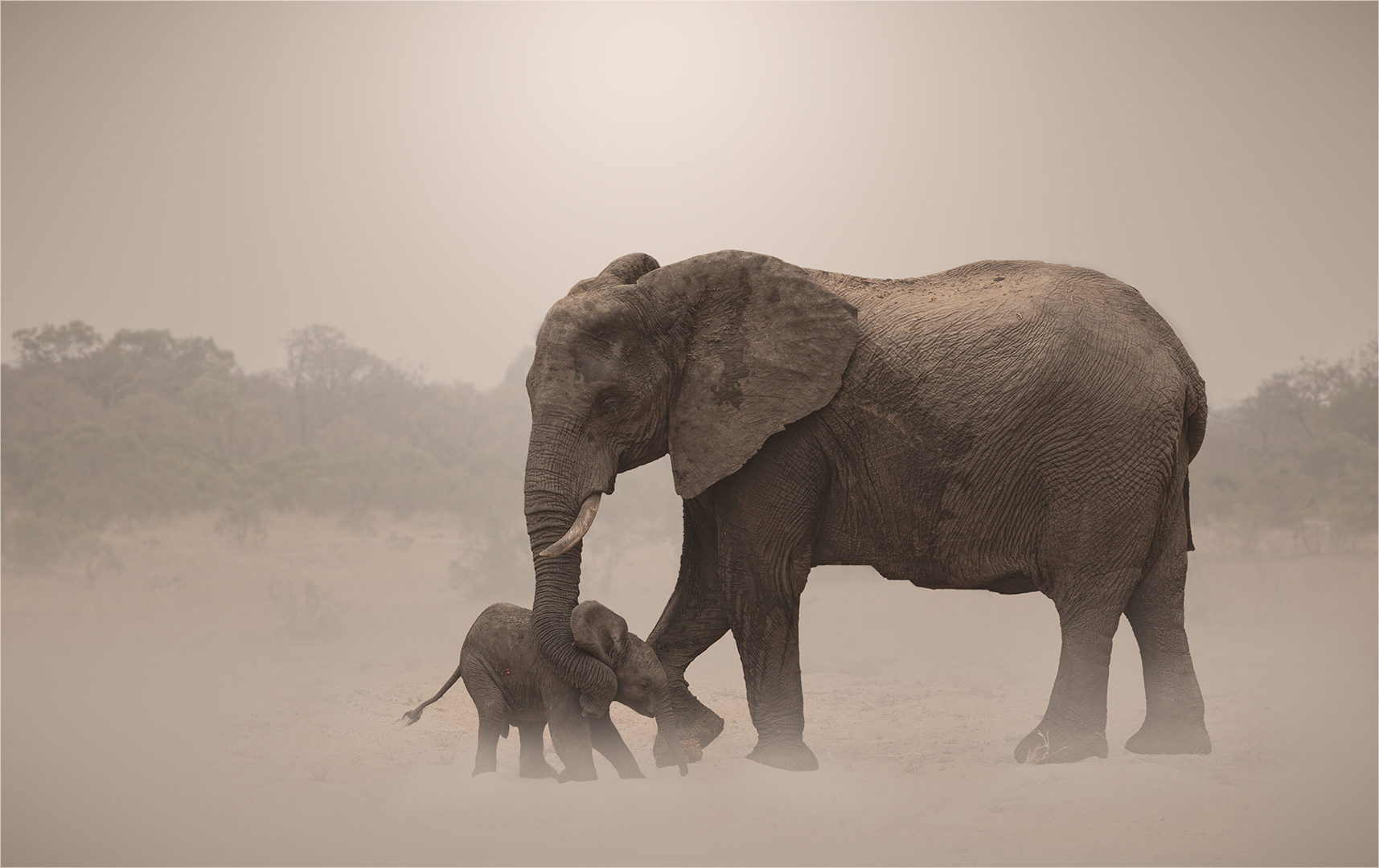 Irene Kok - Brandpuntfotoklub - A mothers love is the ultimate comfort