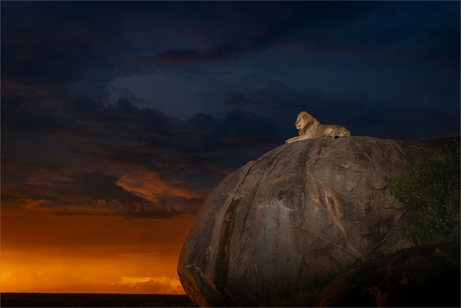 Malie van der Vyver -  Independent - Mufassa C