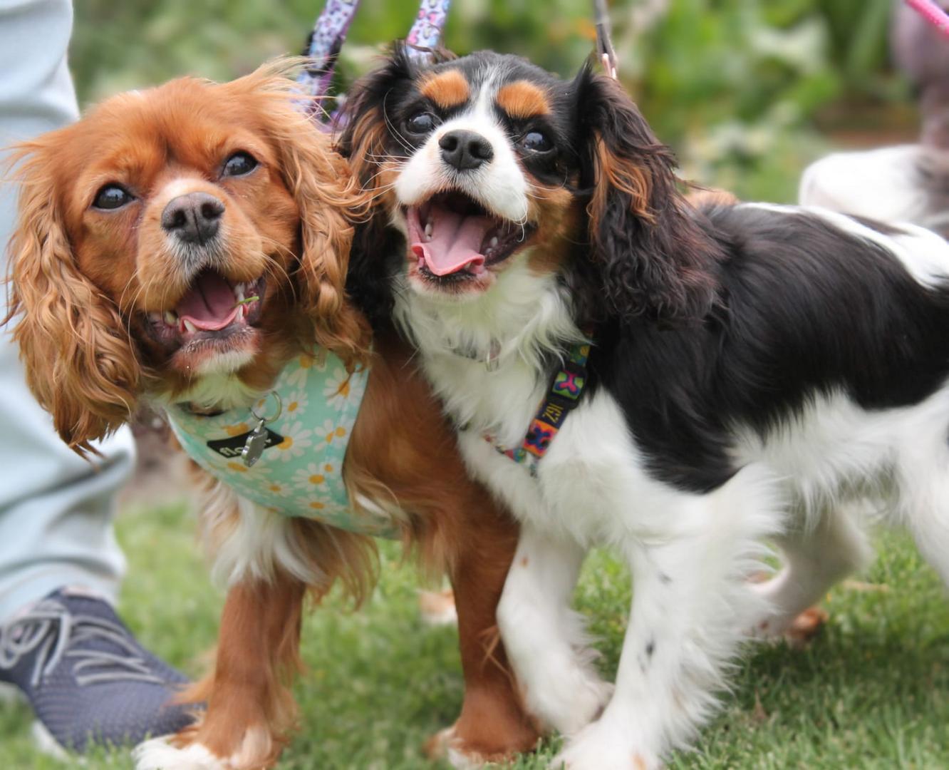 Monique de Jager - Schools - Hermies Photography Club - Playtime