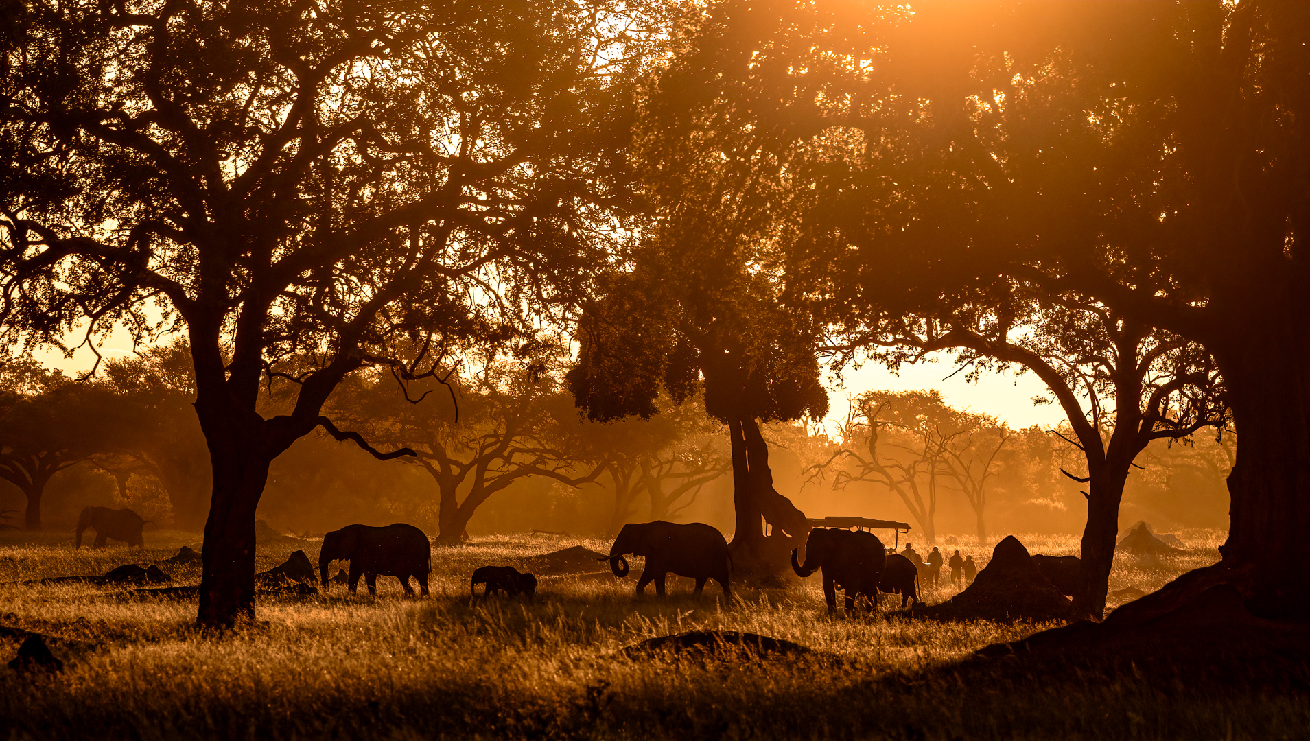 Sharlene Cathro - Princes Grant Camera Club - Sunset drinks with the elephants