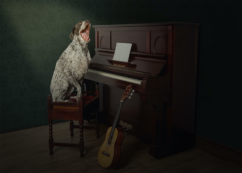 PSSA Bronze Medal-Open Colour-Lift up your Voices-Phiane Oosthuizen-HS Linden