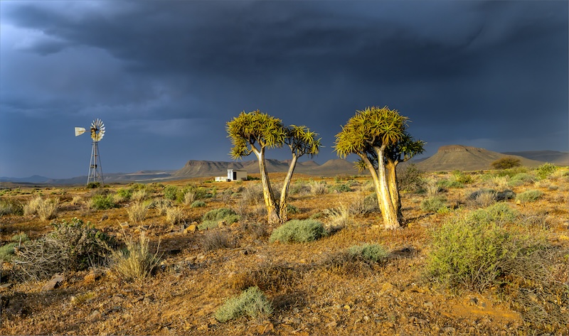 1 PSSA SILver Medal -  Scapes - COLOUR - Quiver trees - Arthur Edward Ahrens - AFO