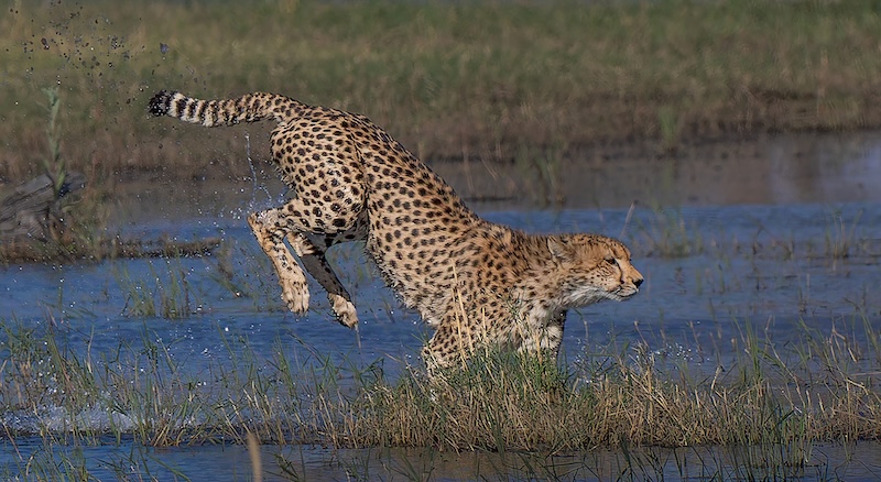 3 Bethal Club -  Nature - No Birds - COLOUR - Spring dat die water spat - Wilma Drotsky - Bethal Fotografie Klub