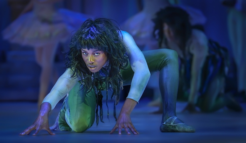 PSSA Silver Medal - Open Colour - The sorceress helper - DNE Smit - Sasol Highveld Photography Club