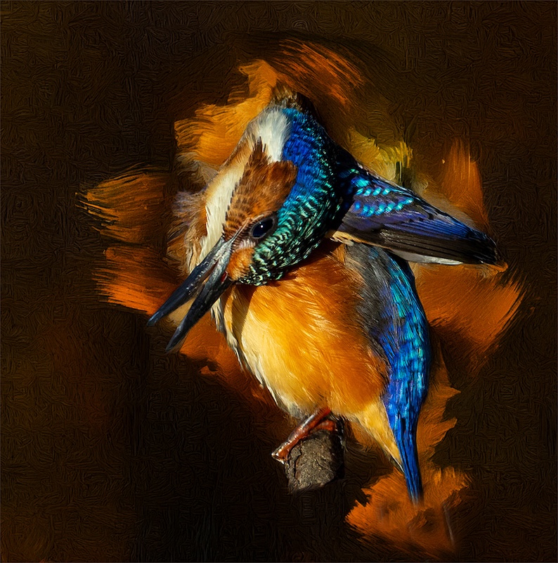 PSSA Bronze Medal - Visual Art Colour - Skaam Malachite - Andre Serfontein - Imagelink Virtual Club