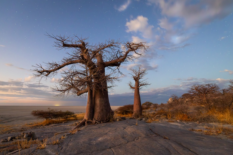 TAF-PSSAMEDAL- Colour Prints-Lekhubu-Kim Stevens-CTPS