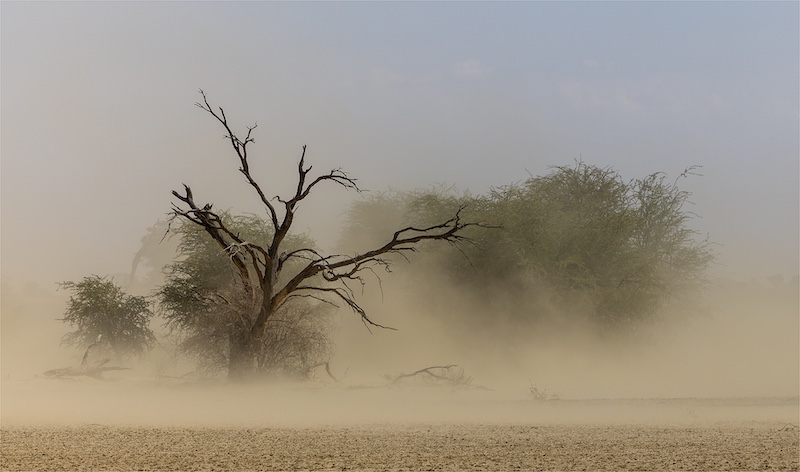 WPS Silver Medal-Scapes Colour-Kgalagadi sand storm-Sonja Myburgh - Tafelberg Fotografieklub